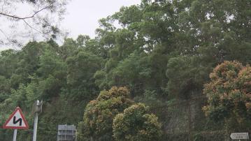 【有機流標？】大嶼山長沙住宅地僅收信置1份標書