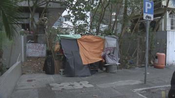 【最少10財團爭】測量師:小瀝源蚊型地入標反應超預期