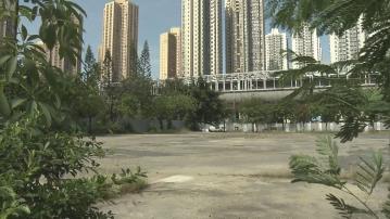 【反應唔算踴躍？】信置、新地等最少6財團入標爭沙田住宅地