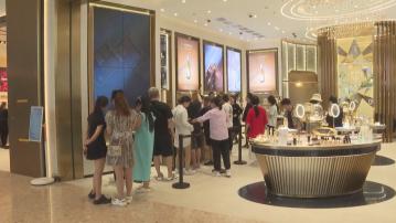 【崇光母企】利福劉鑾鴻：市道欠火紅火綠 啟德雙子匯需時變成熟 