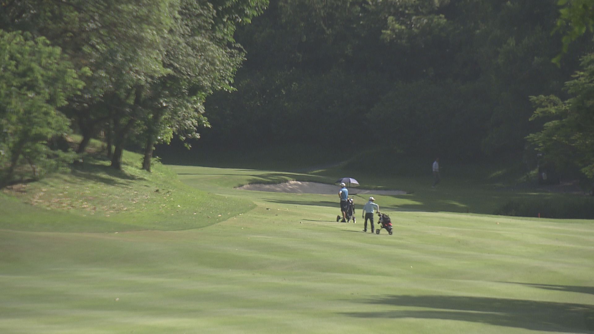 【今開公聽會】規劃署前署長凌嘉勤撐粉嶺高球場建屋