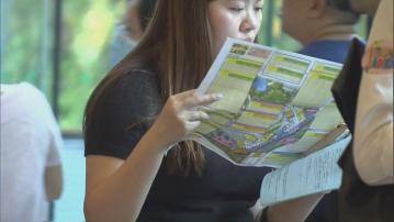 【入場約3球】NOVO LAND第3A期周日賣110伙