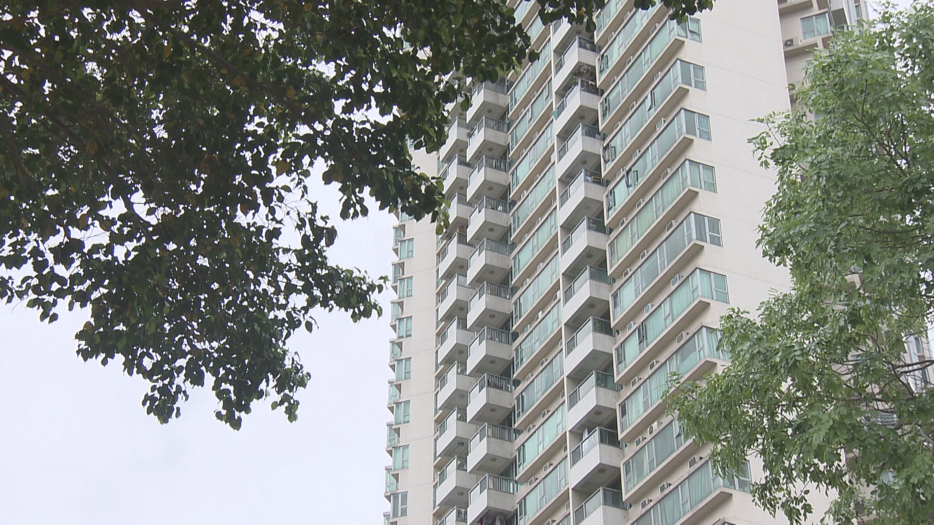 【周末樓市】新盤低價搶客 二手僅開5張單