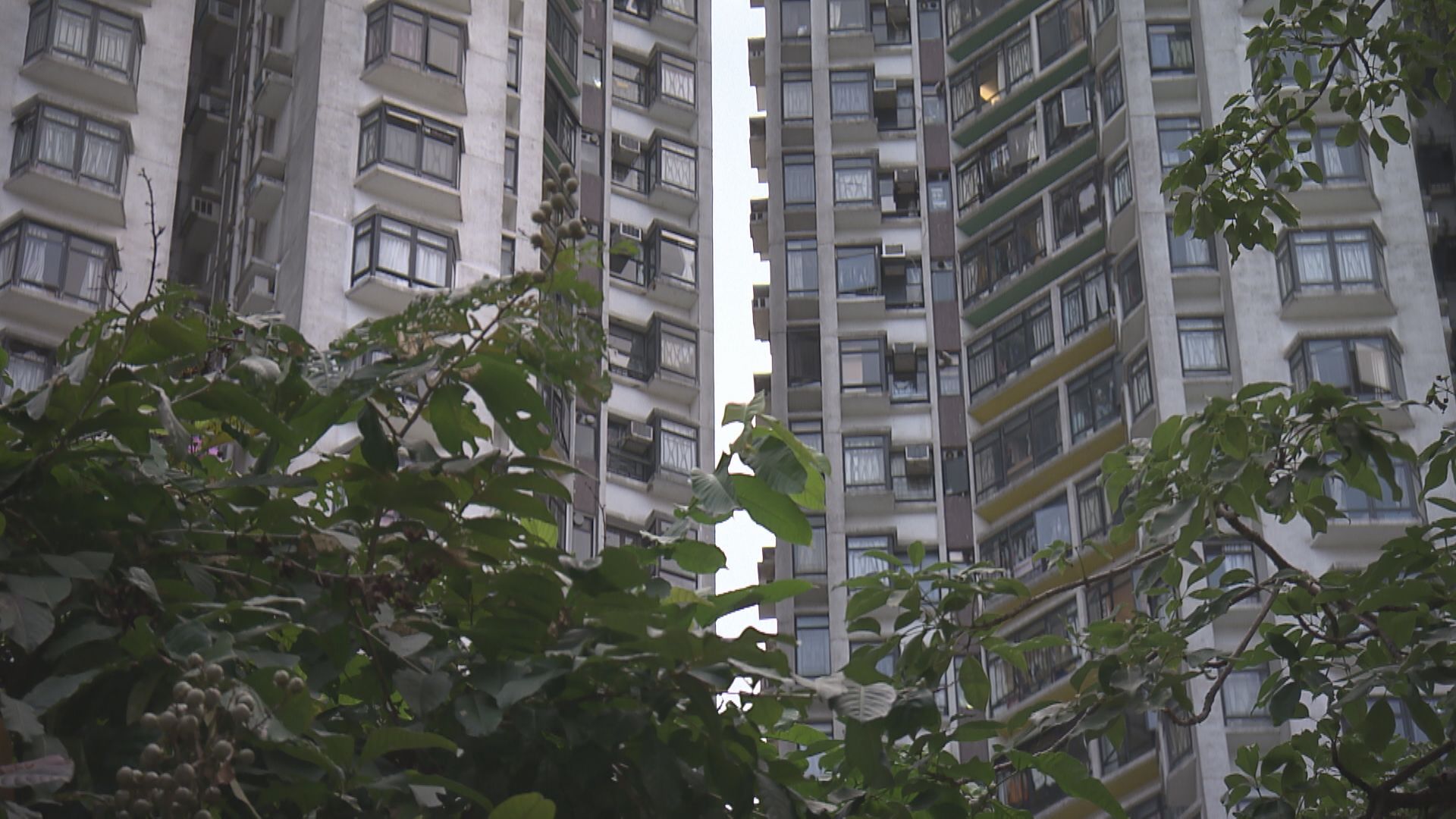 【聖誕長假樓市】購買力回流 二手成交6周最多