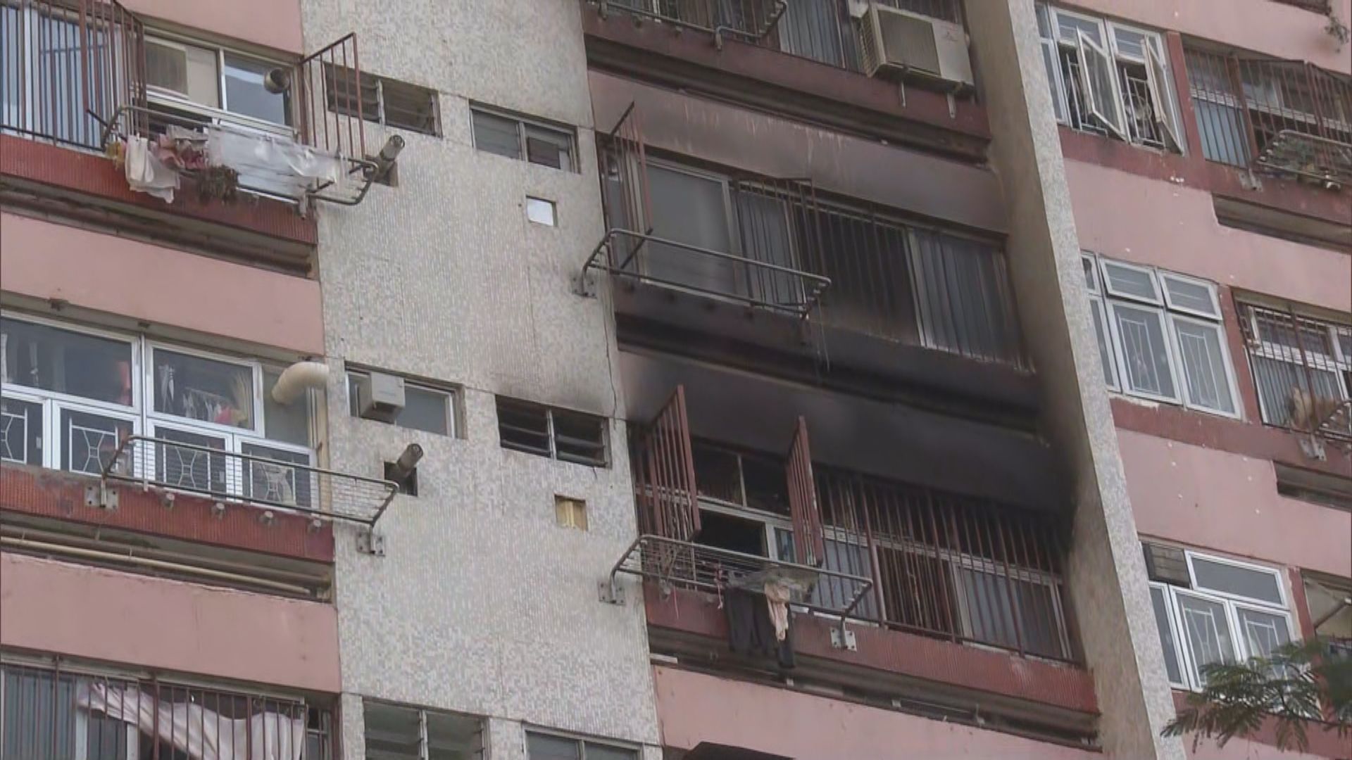 石籬邨單位火警　屋內四貓3死1傷