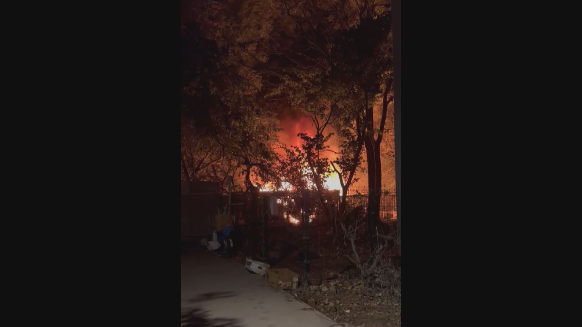 屯門藍地狗場起火無人受傷