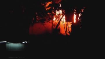 東涌有貓狗場起火 5隻貓燒死