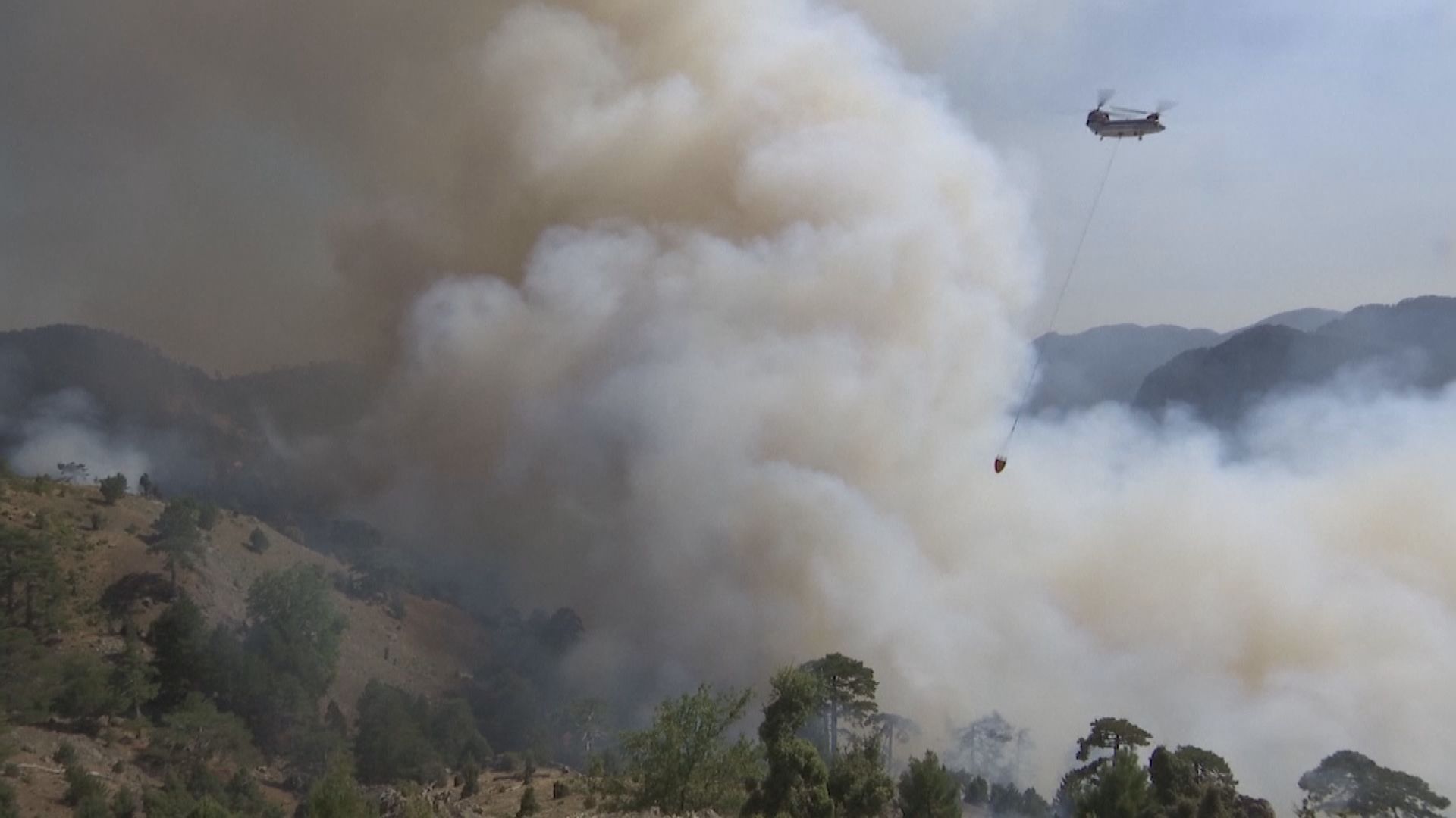 希臘埃維亞島山火焚燒一周尚未受控