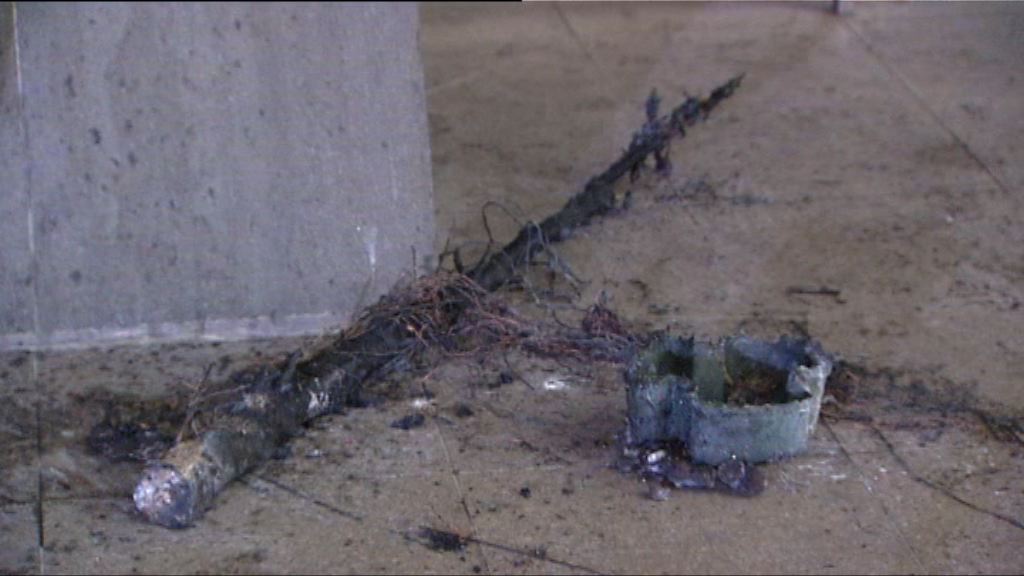 機場一號客運大樓聖誕樹遭縱火燒毀