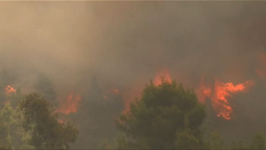 希臘山火　專家指氣候變化令山火爆發率更高