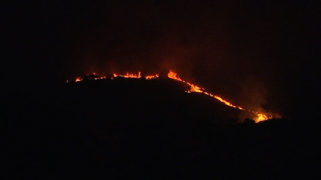 大嶼山欣澳發生山火無人傷