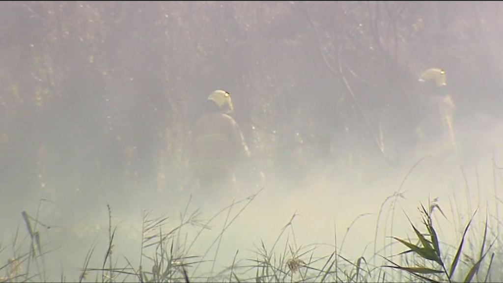 南生圍山火有可疑交警方跟進