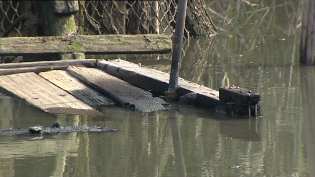 南生圍橫水渡碼頭疑遭縱火焚毀