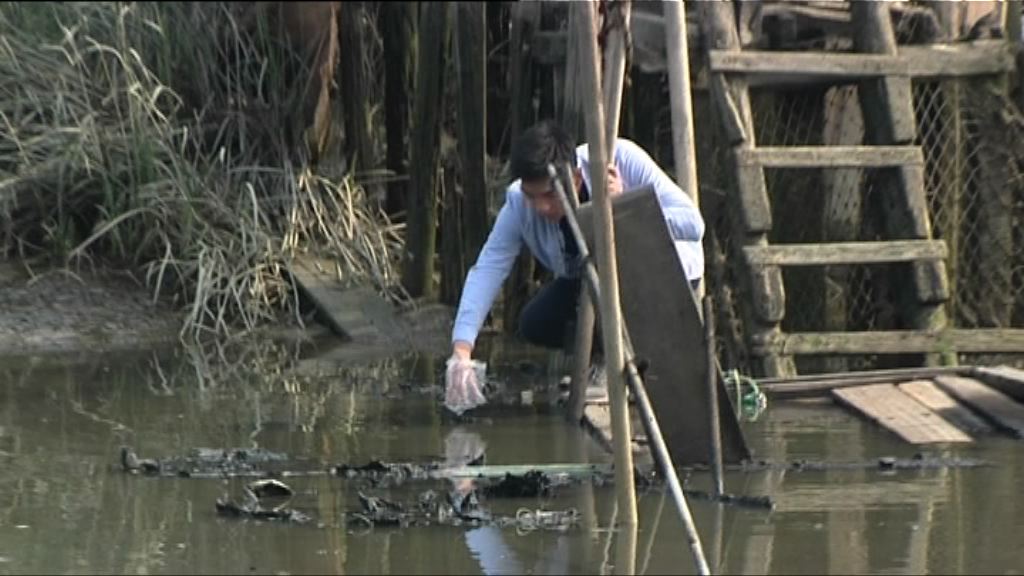 南生圍火警　橫水渡負責人：經營七年未見過失火