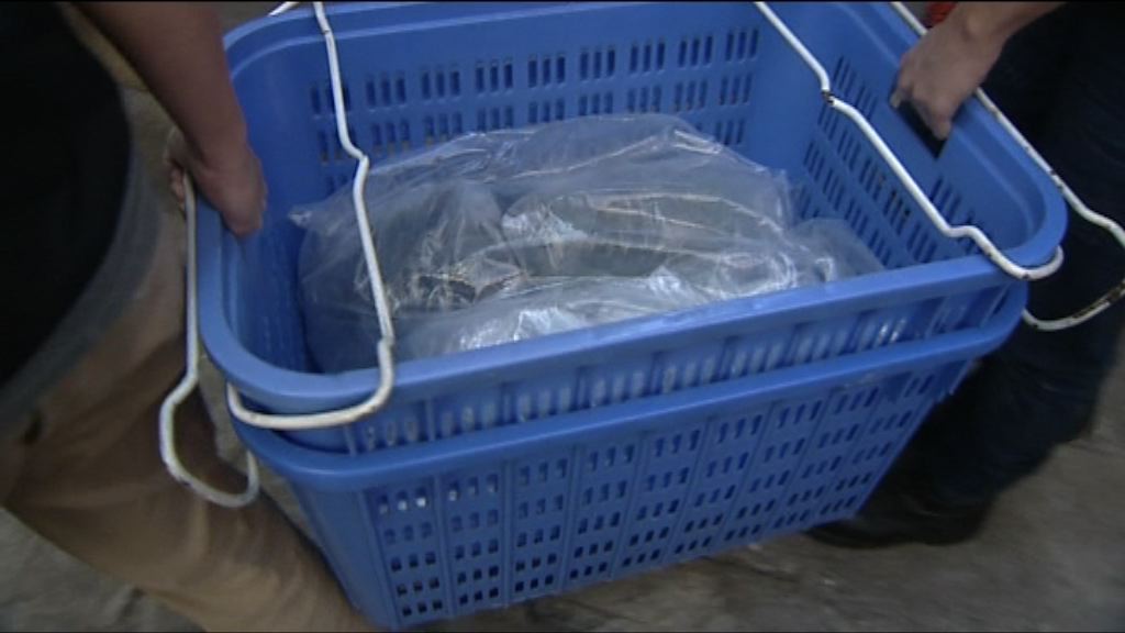 深水埗劏房火警　警循縱火及屍體發現案調查