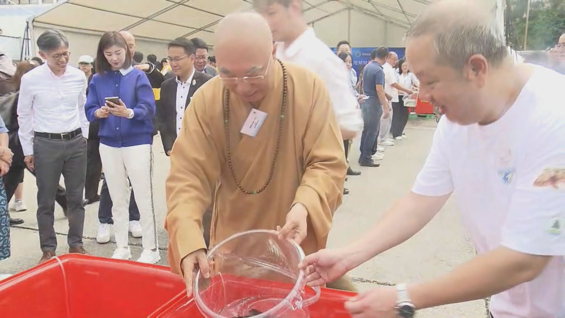 漁護署在全國放魚日放逾兩萬條幼魚到東平洲海岸公園