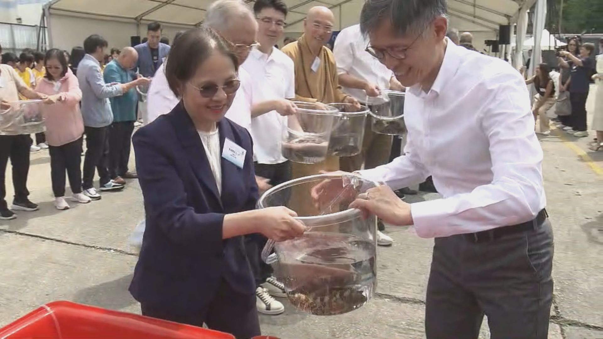 全國放魚日　漁護署到東平洲一帶放流逾兩萬條幼魚