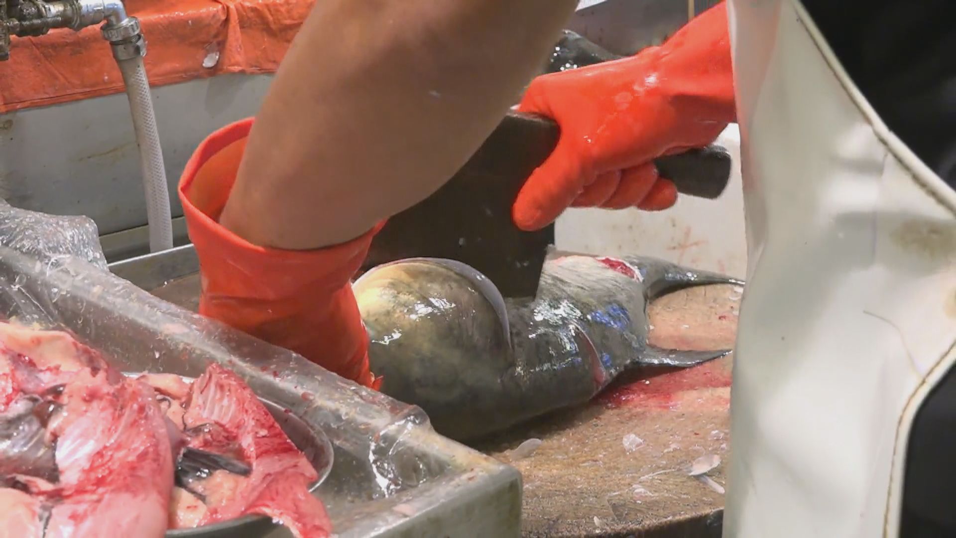 侵入性乙型鏈球菌個案大幅增加　與接觸淡水魚有關