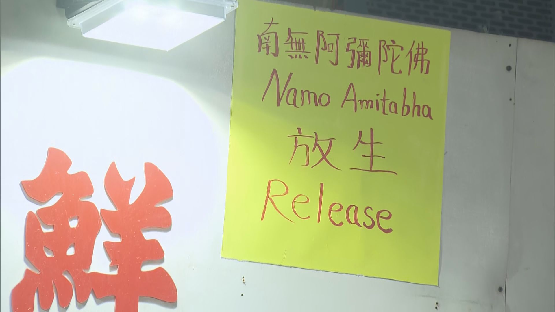 北角及荃灣碼頭均有人趁佛誕前來放生