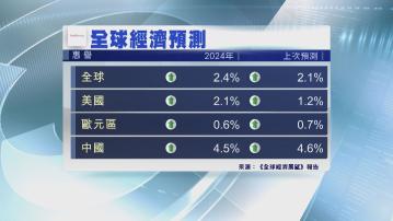 惠譽調升今年全球經濟增長預測