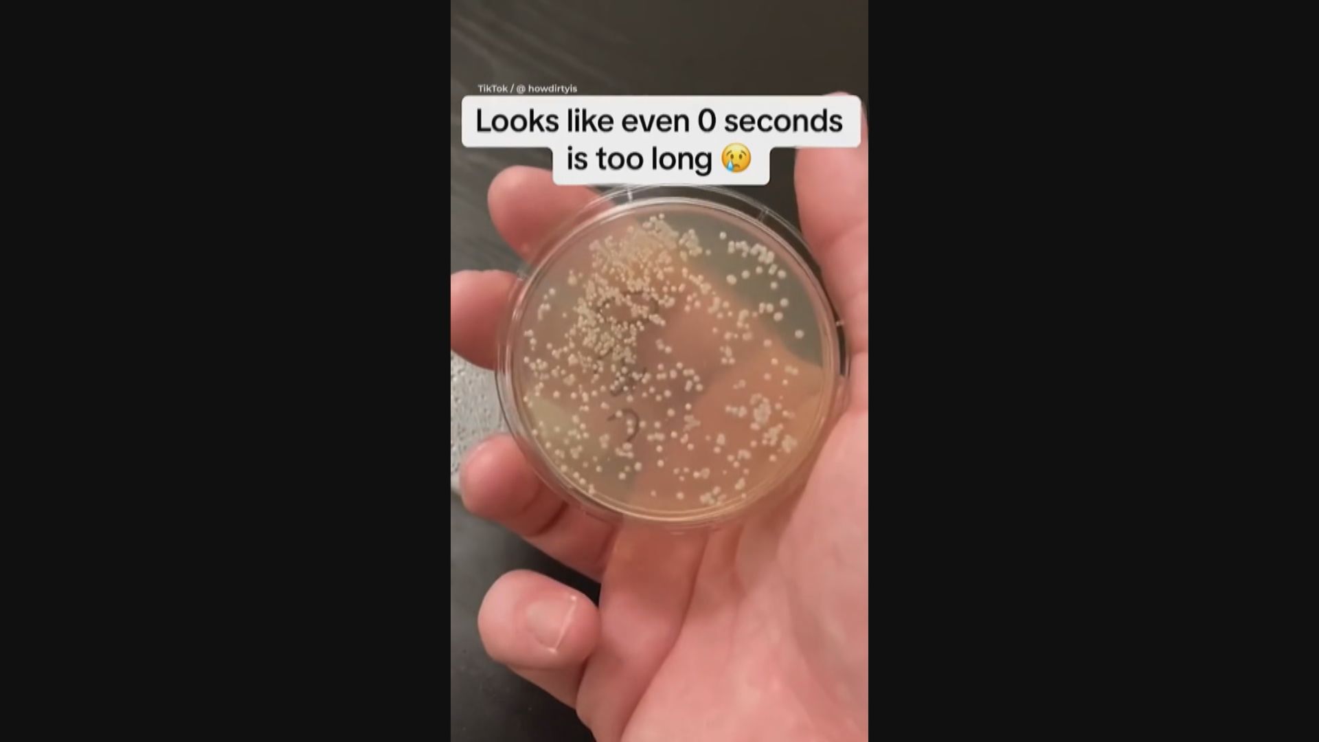 美國微生物學家拆解食物落地「五秒定律」迷思