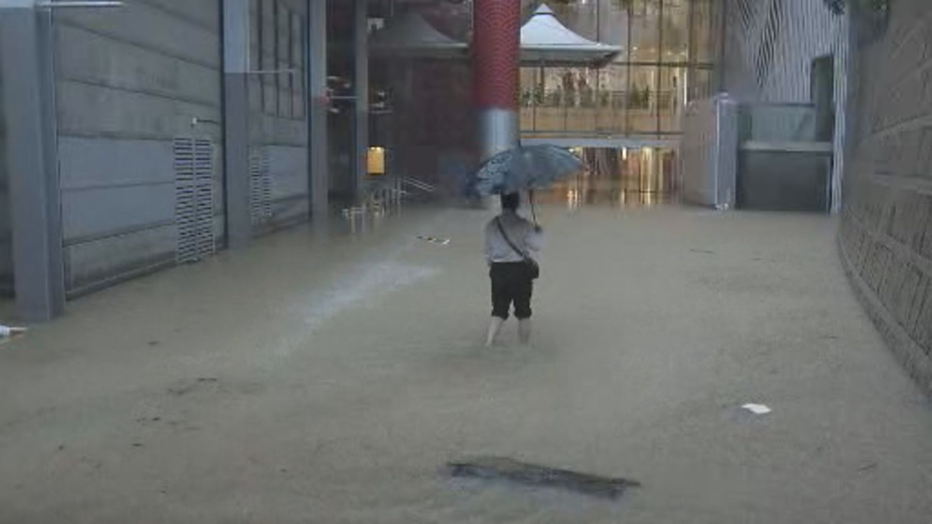 勞工處：「極端情況」下不應要求僱員上班