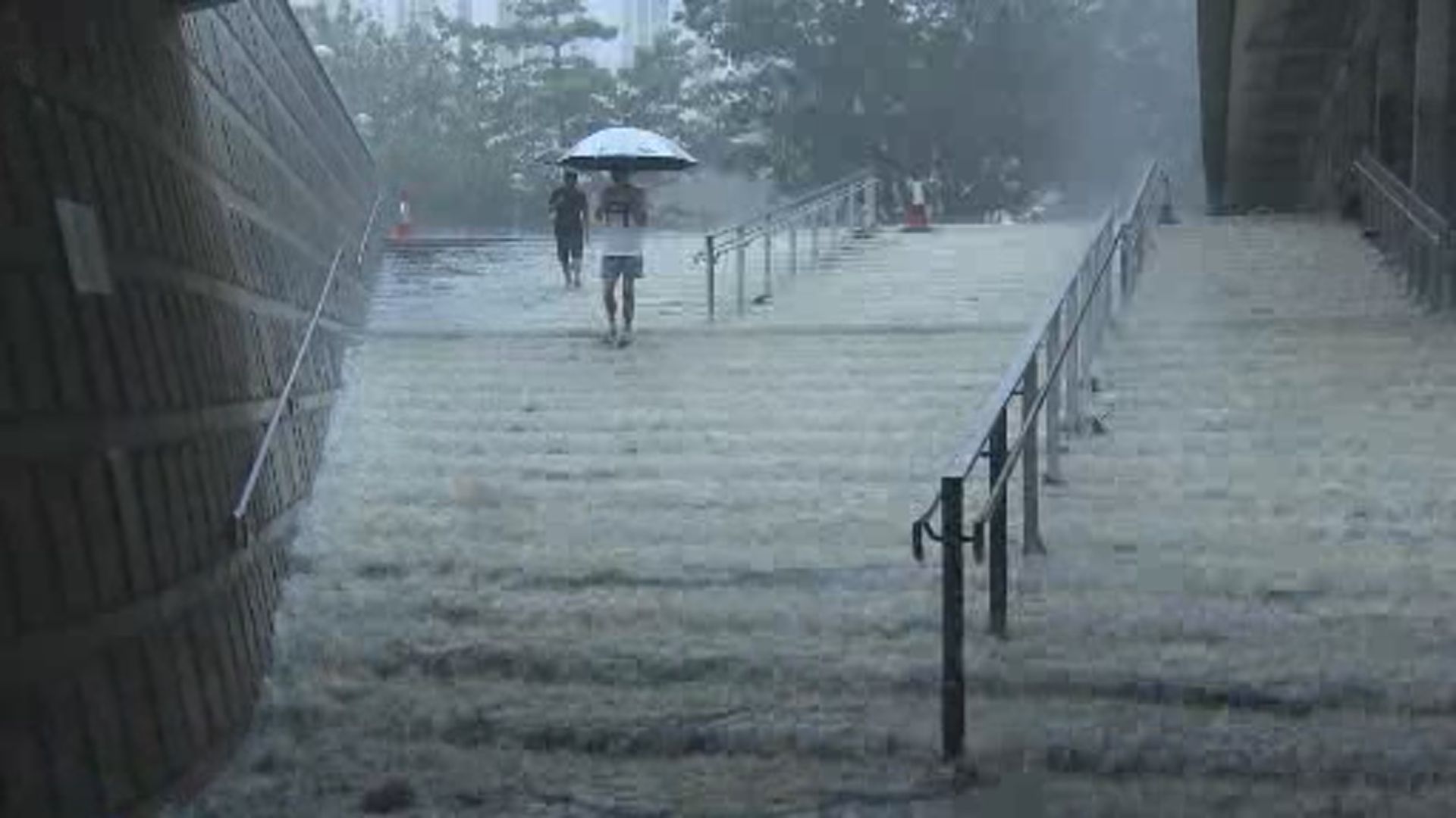 勞工處：「極端情況」下不應要求僱員上班