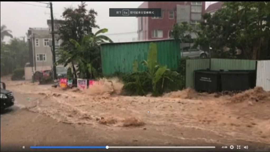 黃雨下新界多處水浸