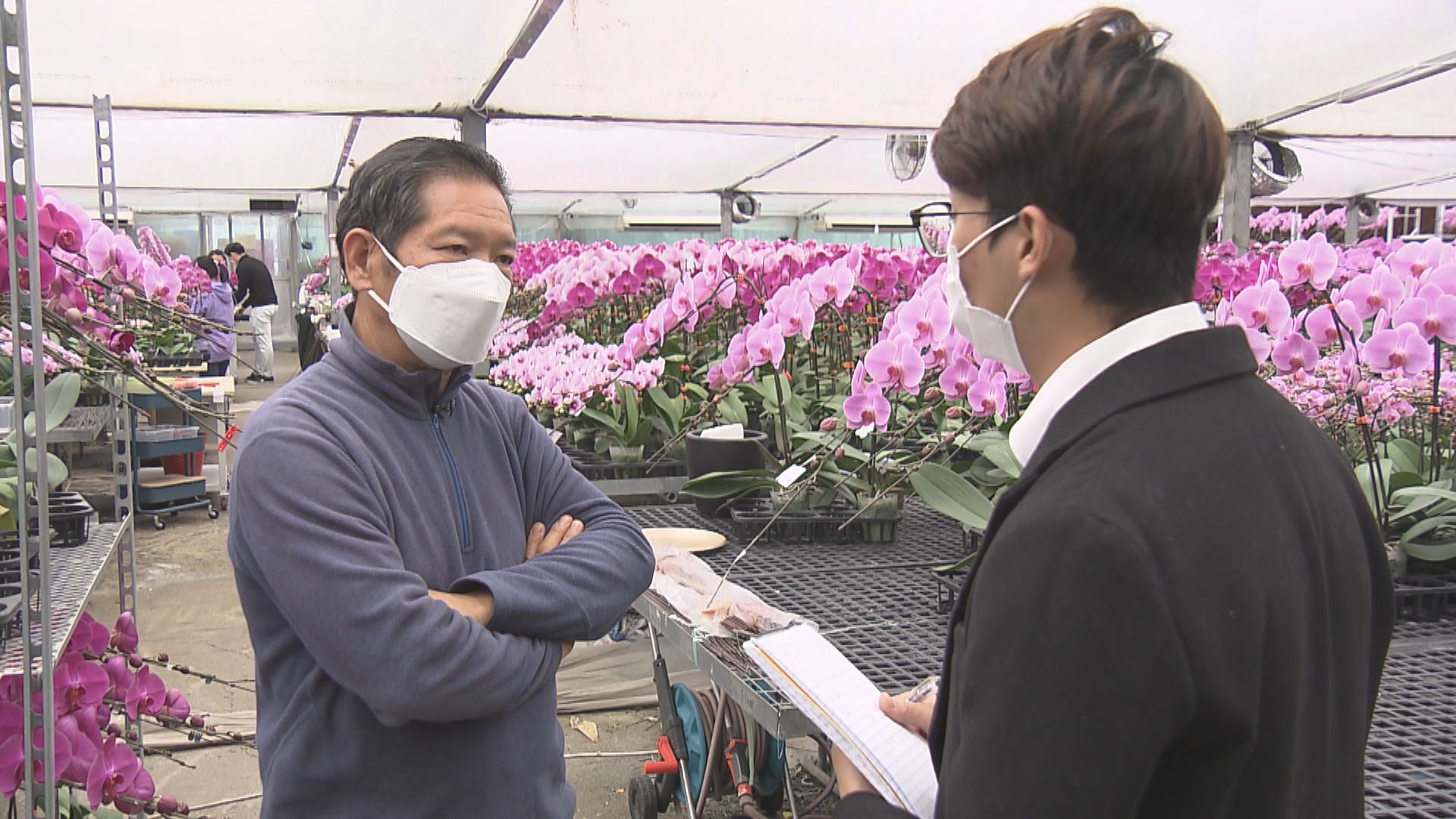 花農稱取消年宵損失慘重　下午與當局開會討論安排