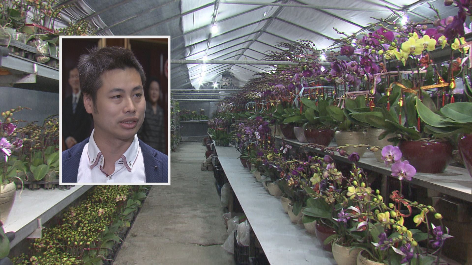 何俊賢：花農冀重開花市　對縮短營業時間有爭議