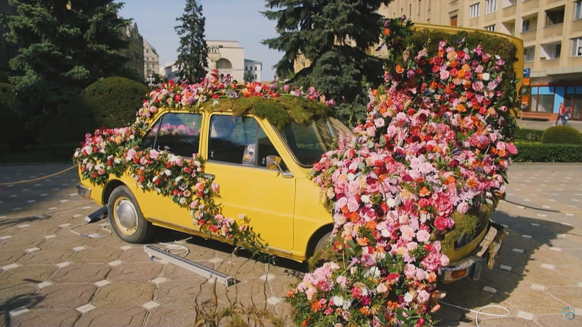 本港與荷蘭機構協辦短期大型花藝主題公園