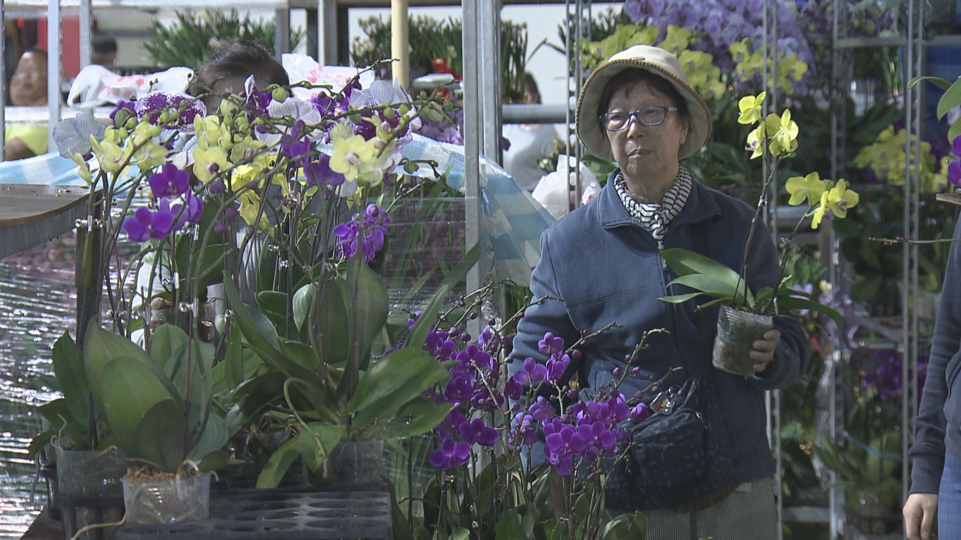 食環署約見花農商討取消年宵安排