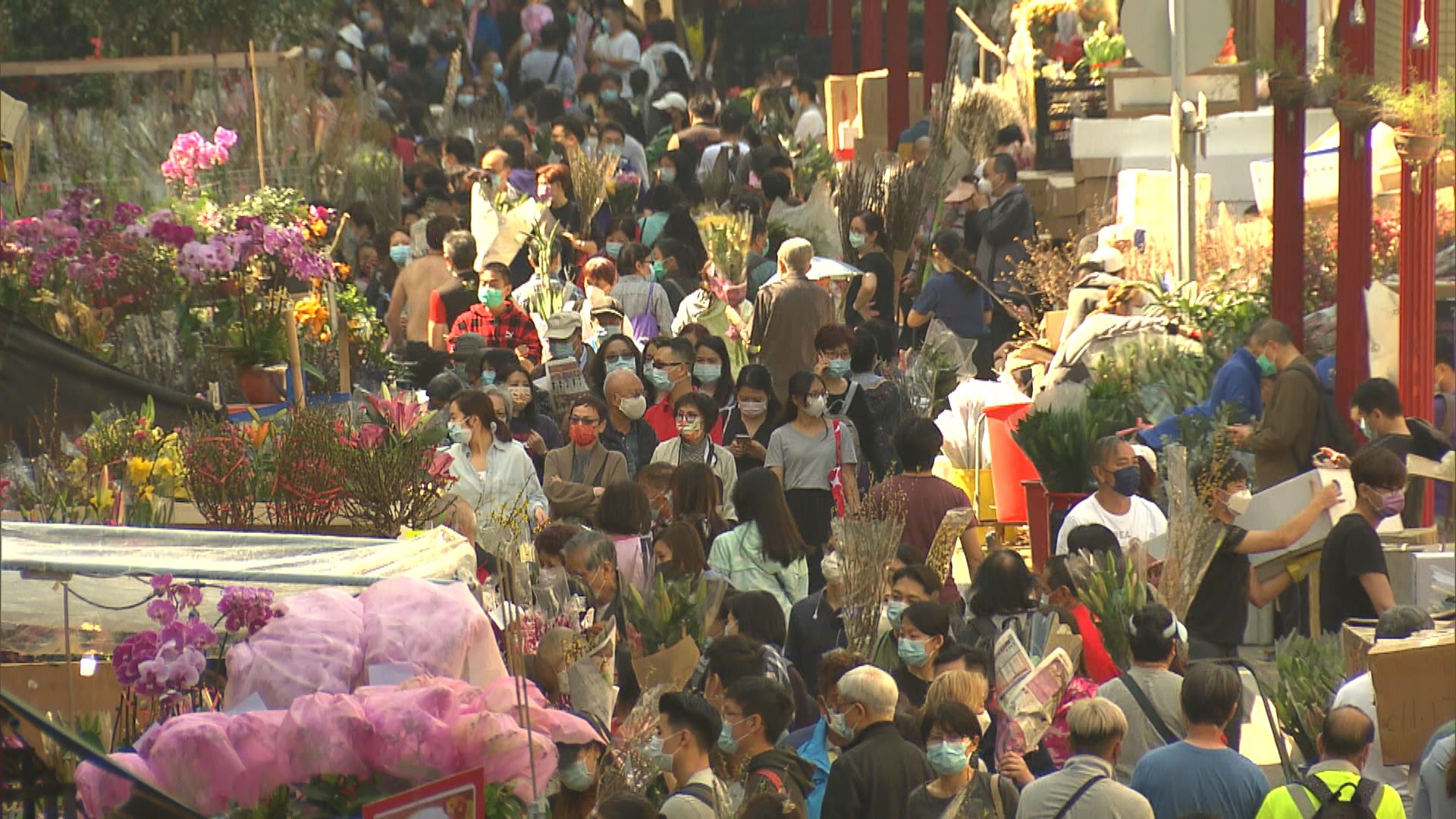 旺角花墟買花者眾　附近年花銷售點人流稀疏
