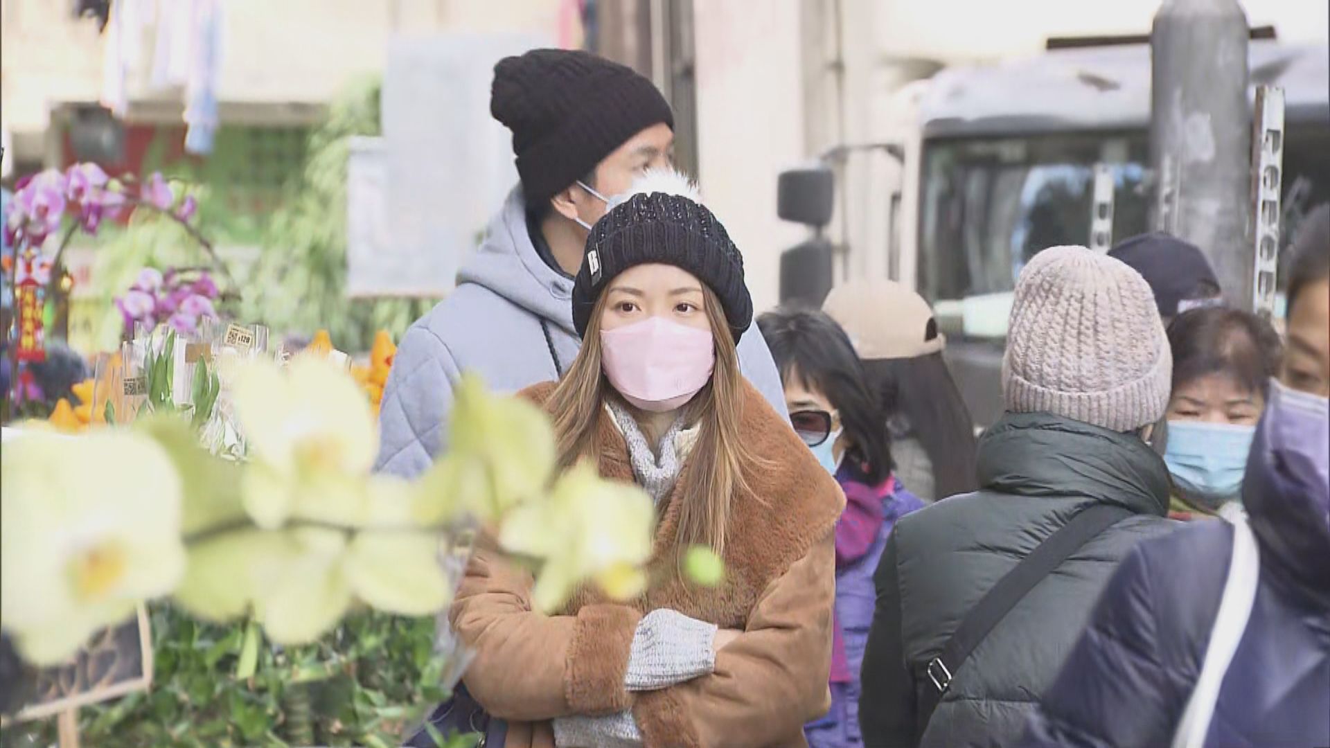 區議員憂取消年宵市民湧往旺角花墟買年花加重負荷