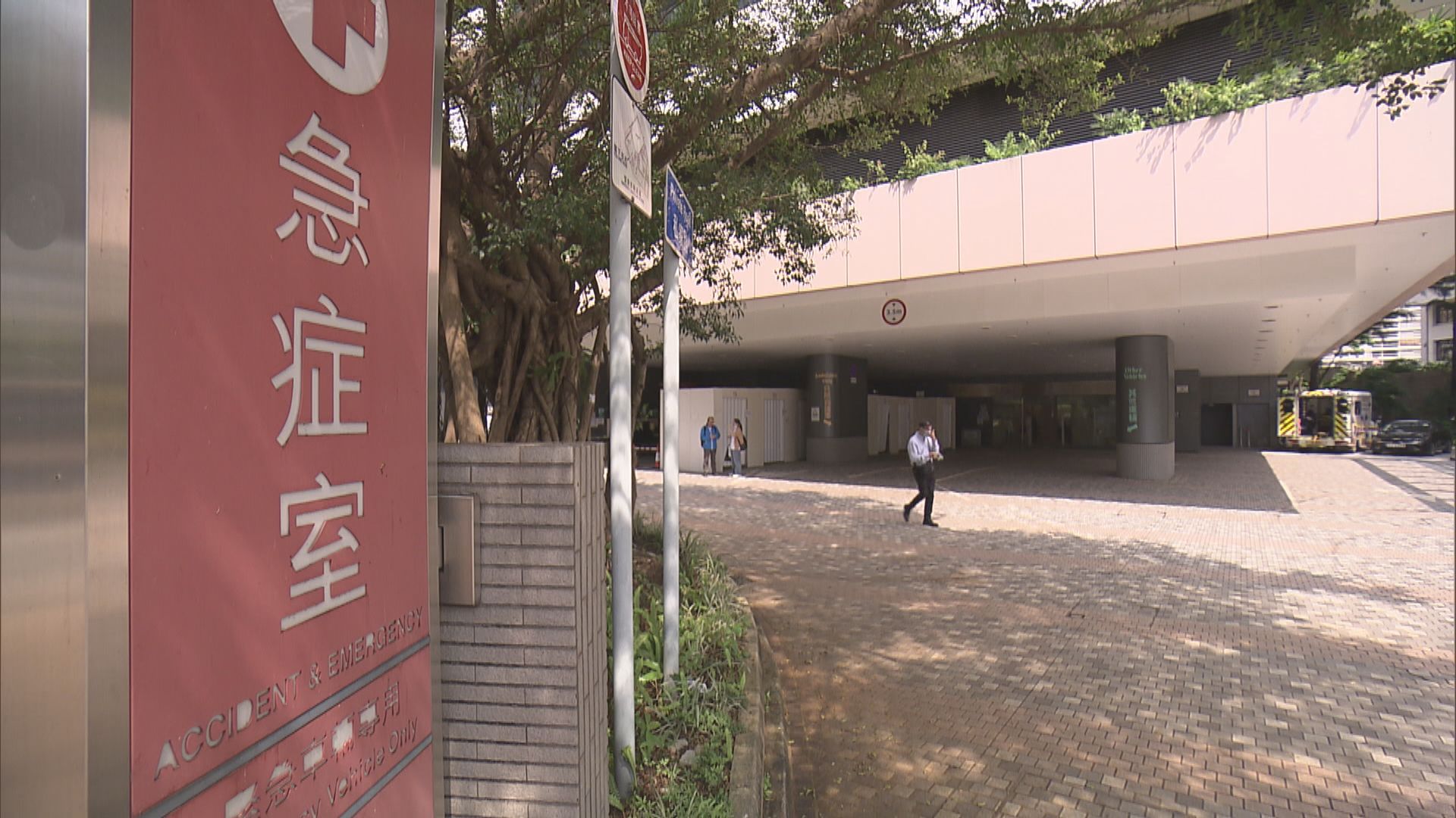 雲南買牛肝菌自煮　兩人食物中毒