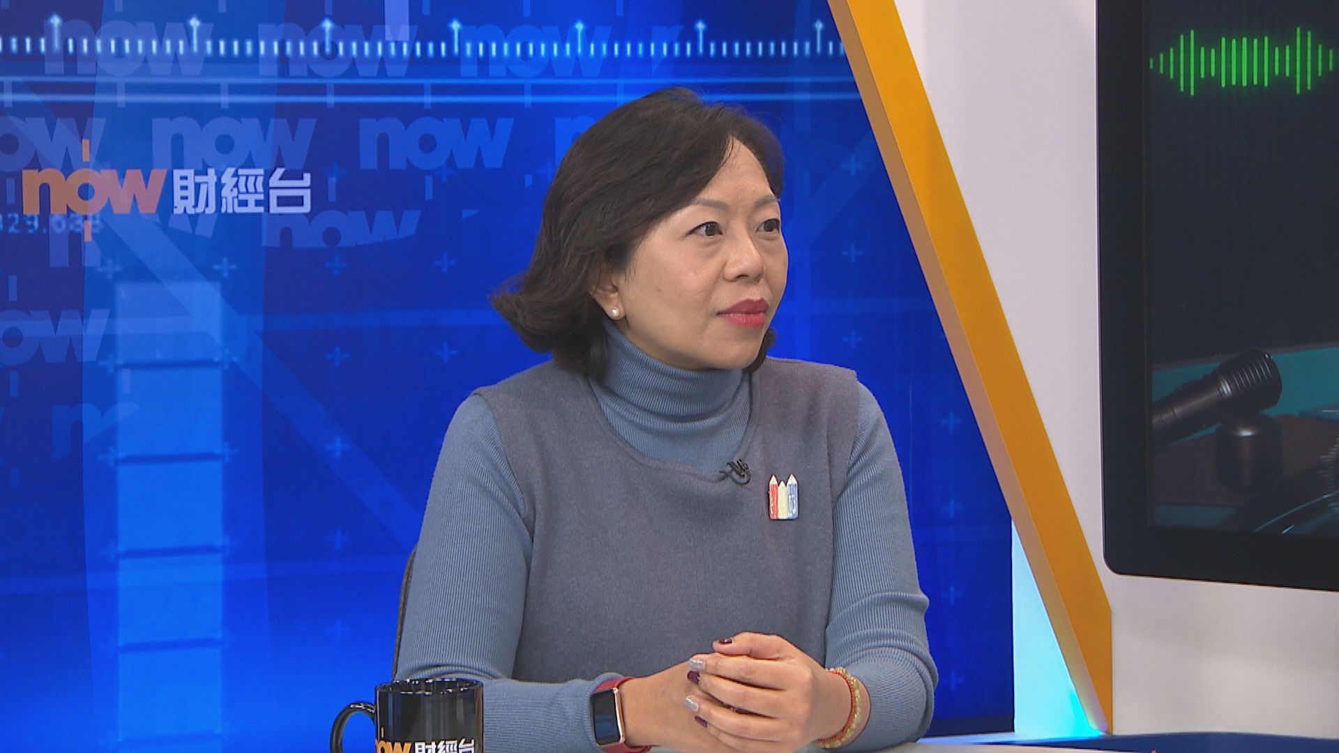 獨立議員增加　麥美娟料政府要更努力拉票