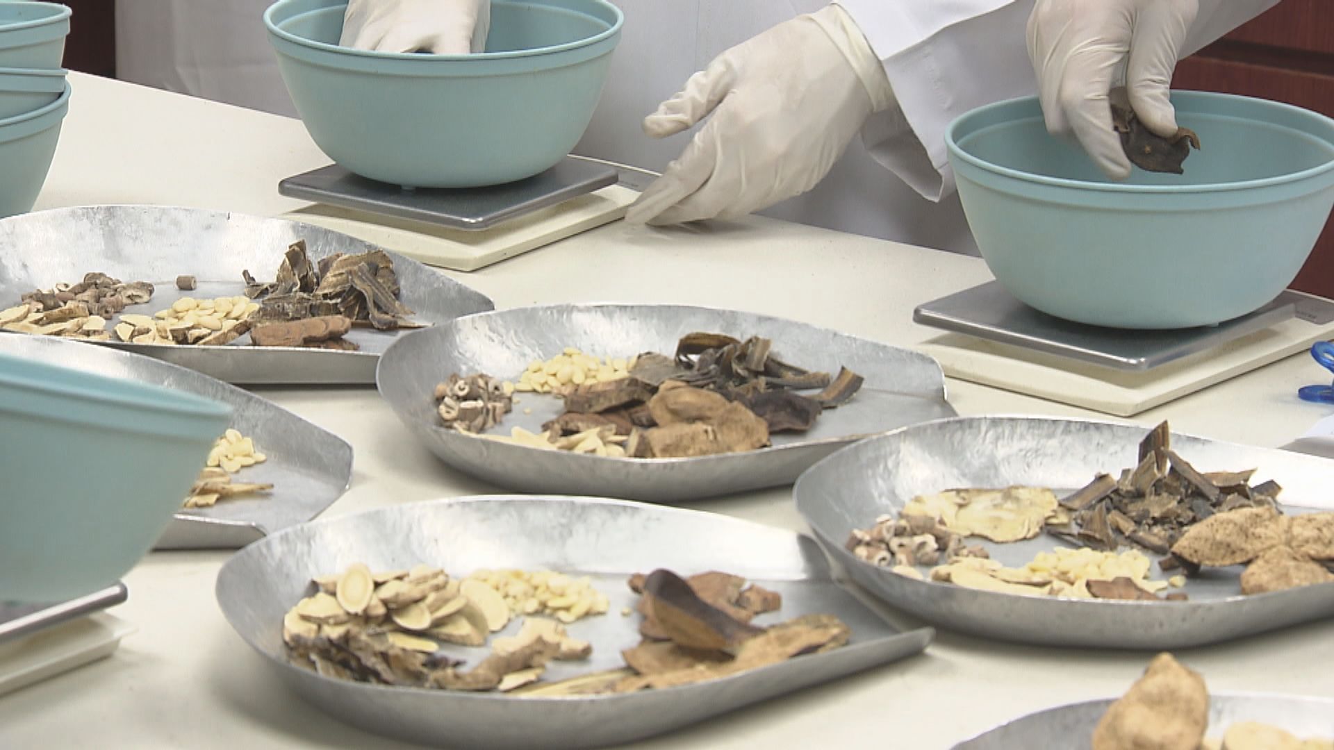 張偉麟：期望中醫院帶動本港中醫及中藥業發展