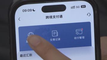 跨境支付通南向匯款為北向近三倍　陳振英料用家多為人才計劃人士