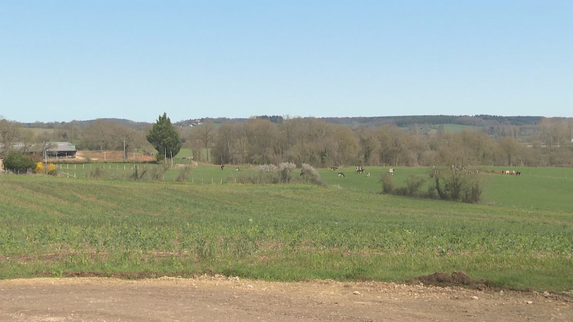 法國旱情嚴重　多處限制用水