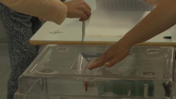 法國國民議會首輪投票 極右國民聯盟領先