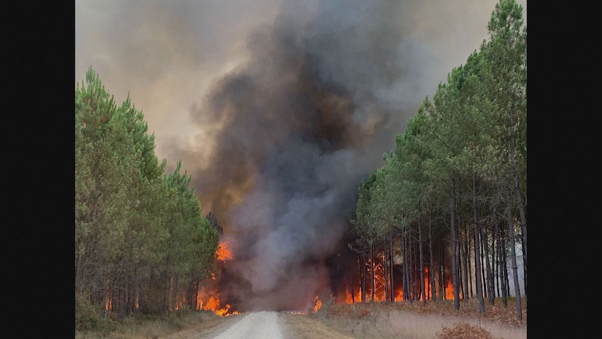 法國西南部山火　約萬名居民疏散