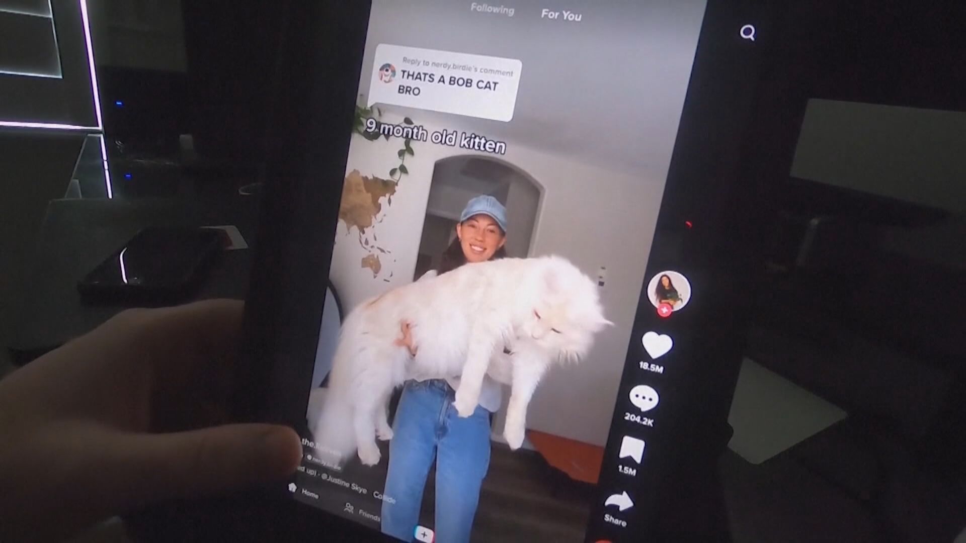 法國禁公務手機使用TikTok等娛樂應用程式