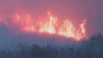 法國南部爆發最大型山火　至少一死九傷　數千人撤離 