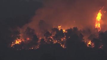 法國南部山火持續蔓延　總理貝魯形容是史無前例的災難