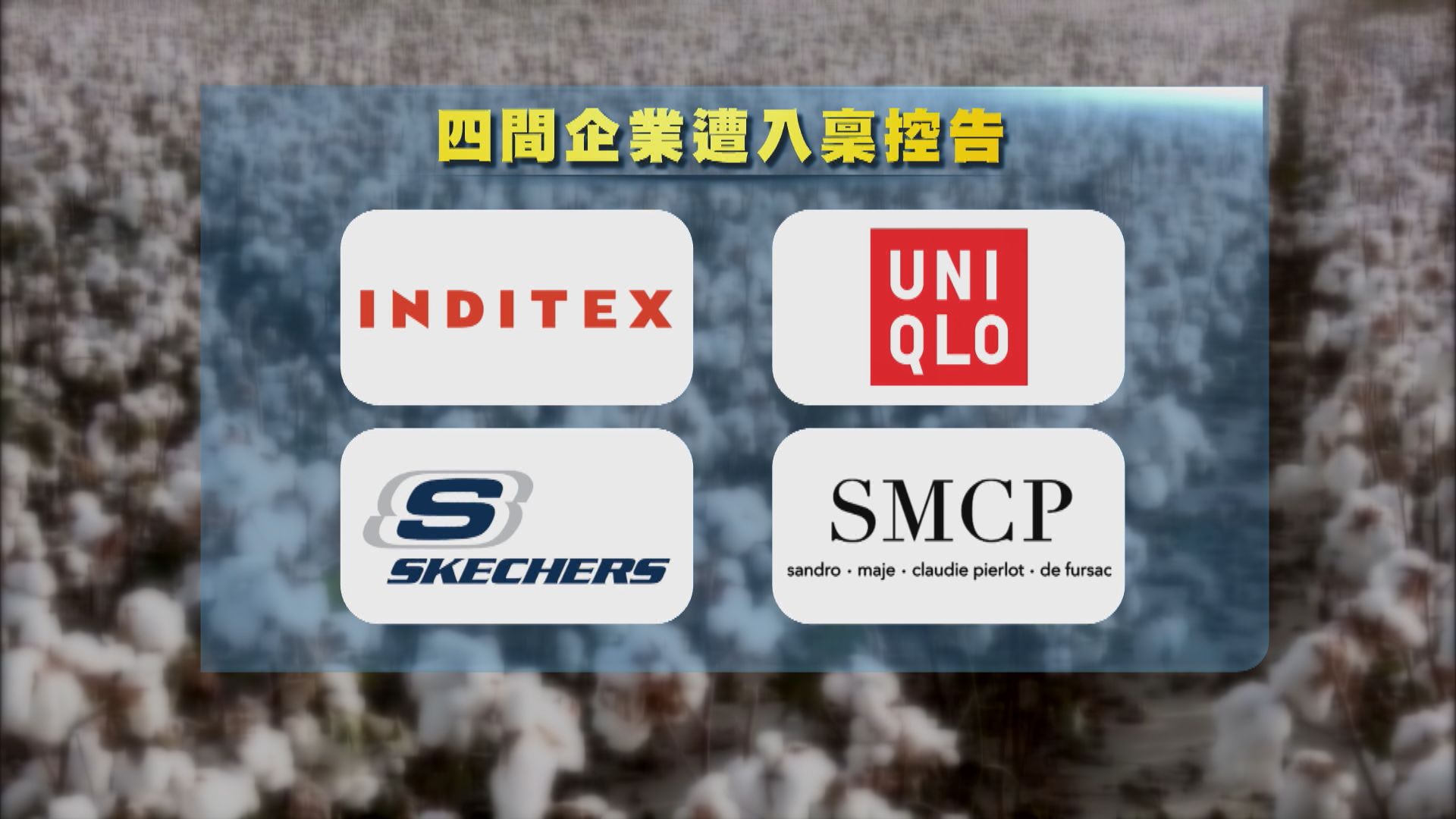 法國民間組織控告四跨國服裝企業從維族強迫勞動中獲利