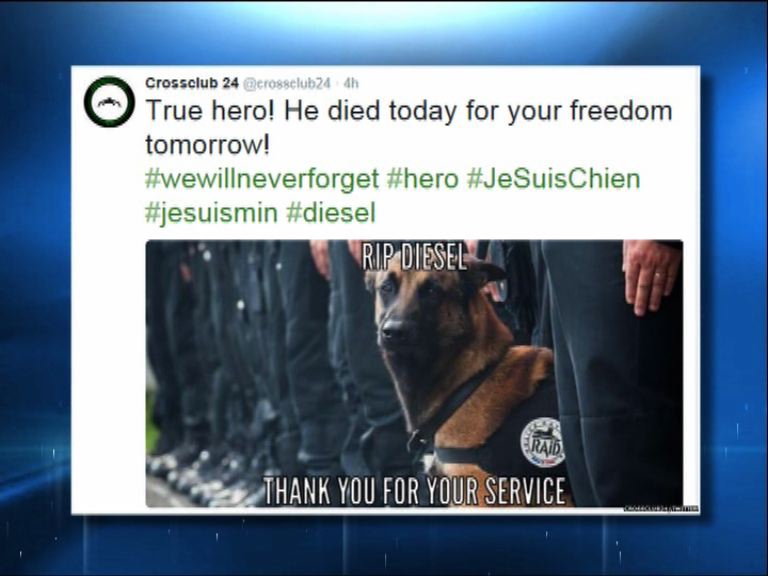 網民悼念為反恐殉職法國警犬