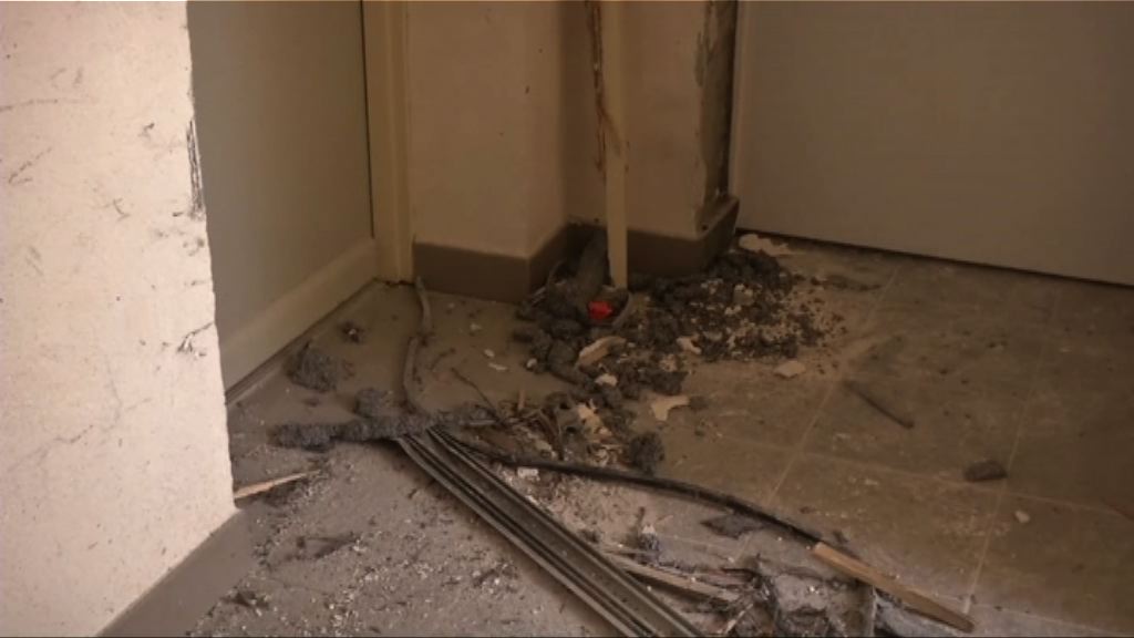 法拘三男一女　檢獲高爆炸性炸藥