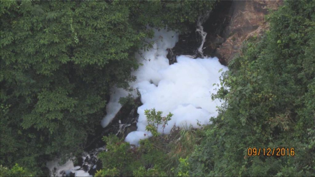 消防料兩周可完成清理將軍澳溪澗泡沫