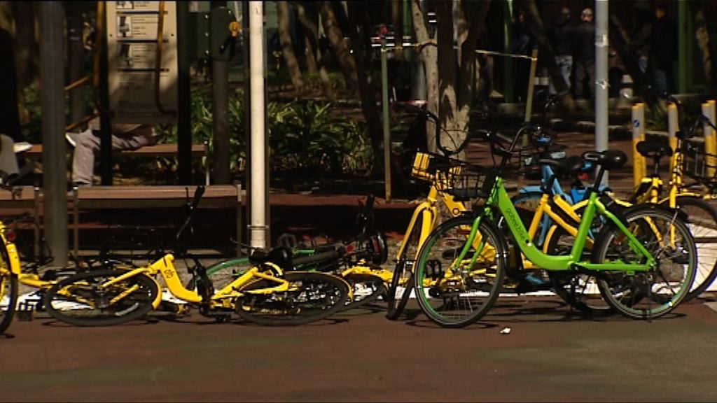 【新聞極客】共享單車圍城　政府執法欠成效