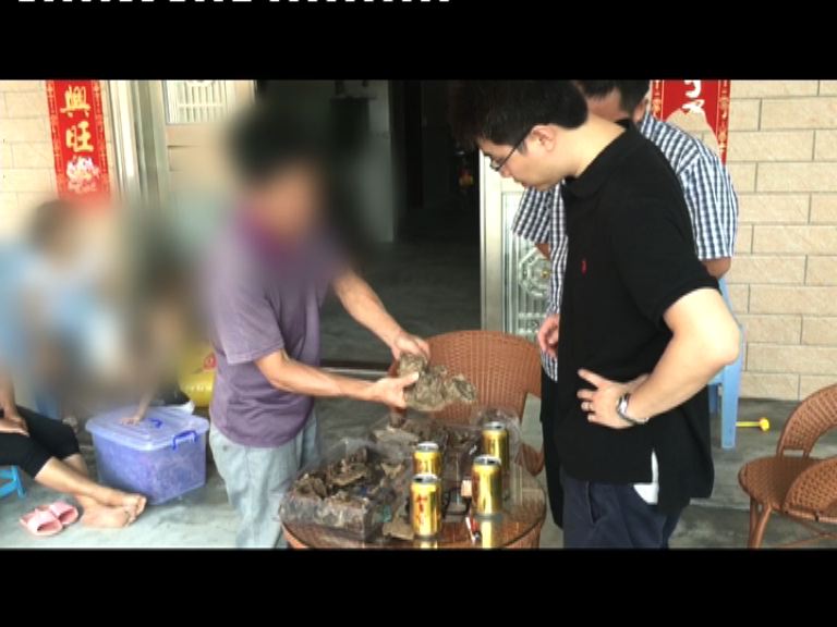 【新聞極客】非法到港砍沉香樹成公開秘密